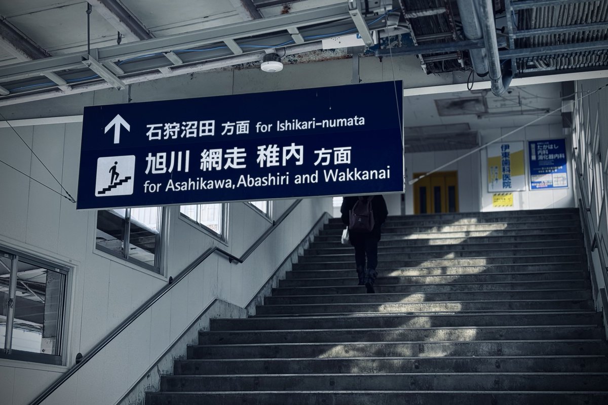 ゆらしあ🌱 tweet media