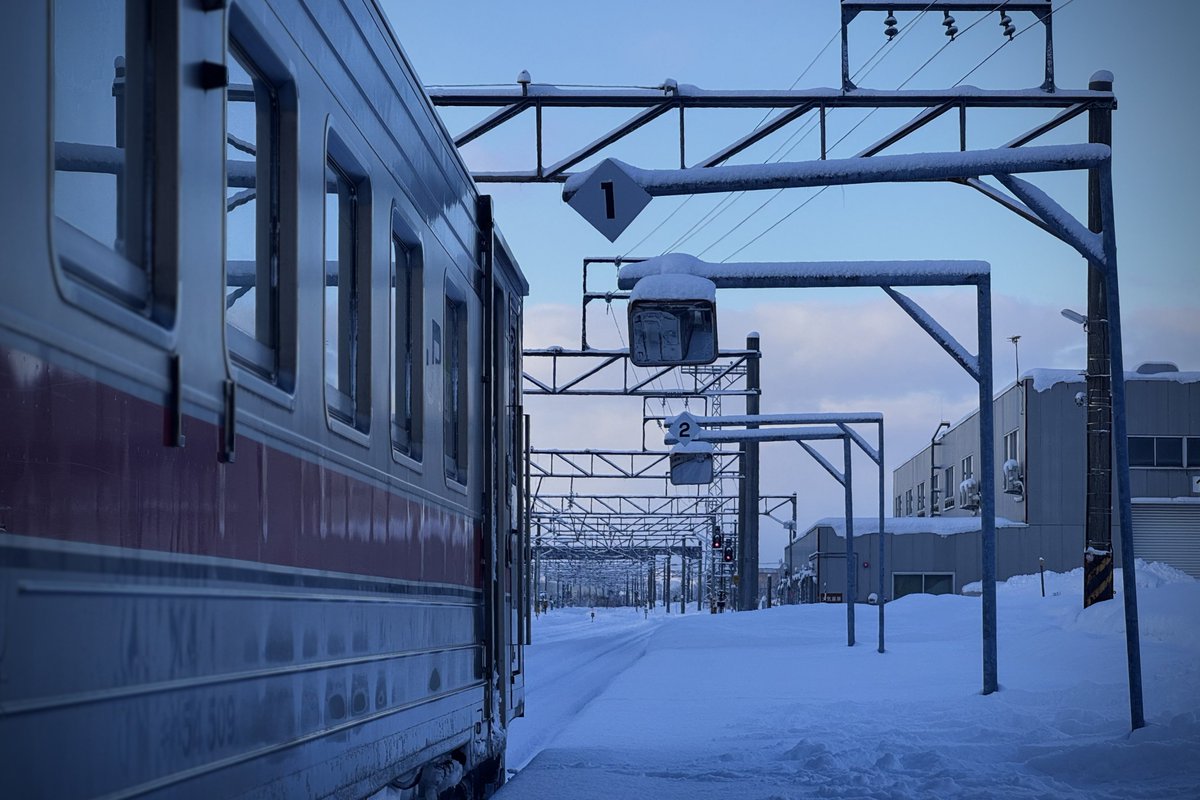 ゆらしあ🌱 tweet media