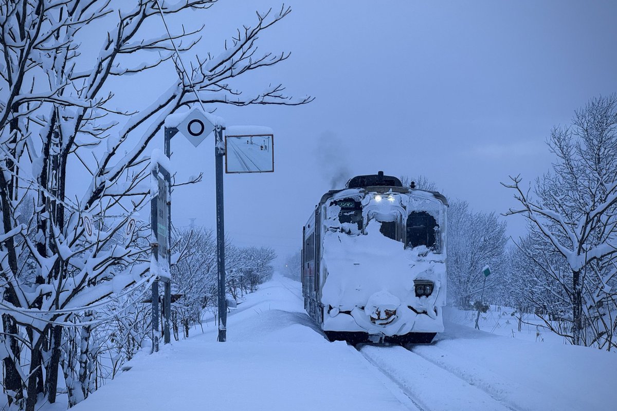 ゆらしあ🌱 tweet media