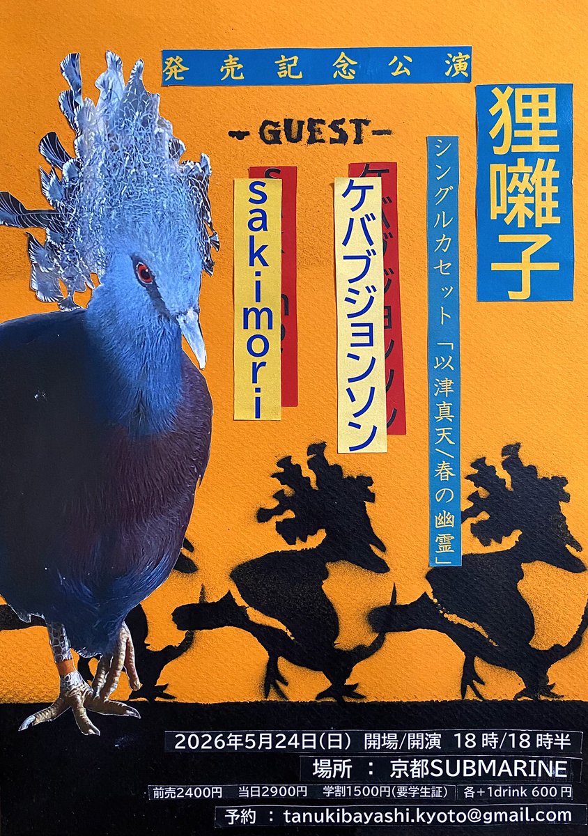 狸囃子 tweet media