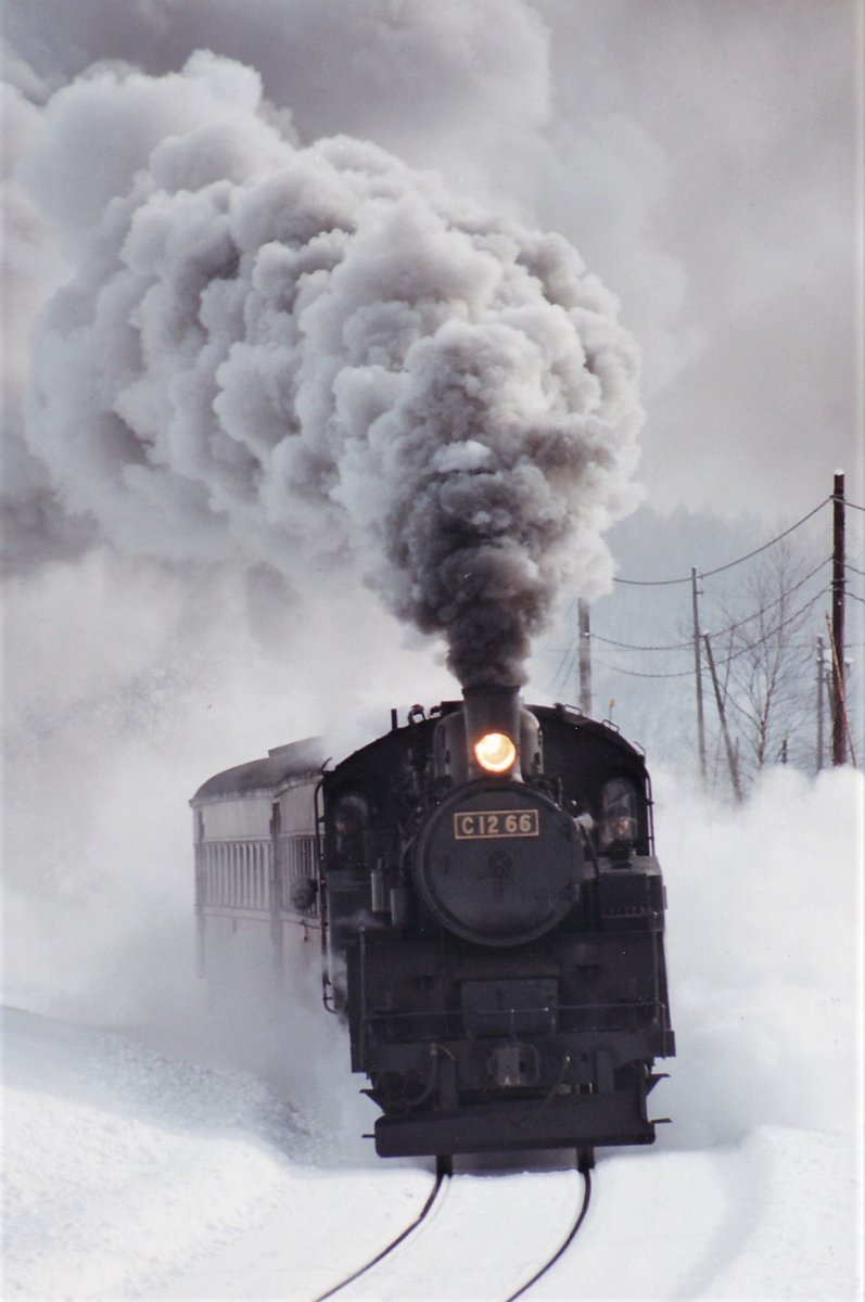 うにプリン tweet media