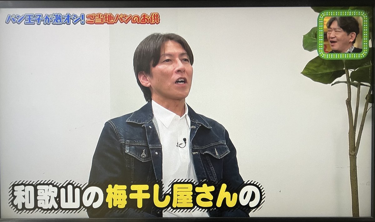 やまわきえりこミャクえりこ（個メディアン） tweet media