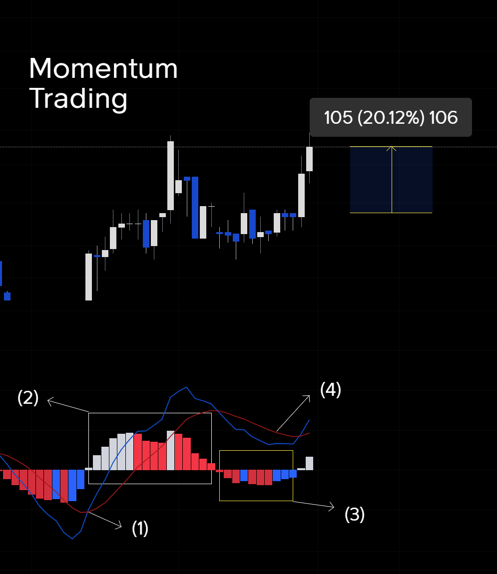 Boring Jacx 📍Trade ●○ tweet media