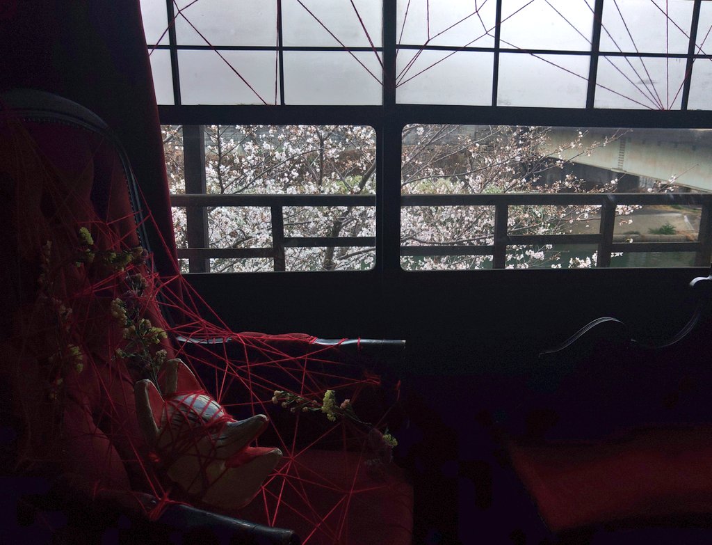 佐倉萌 tweet media