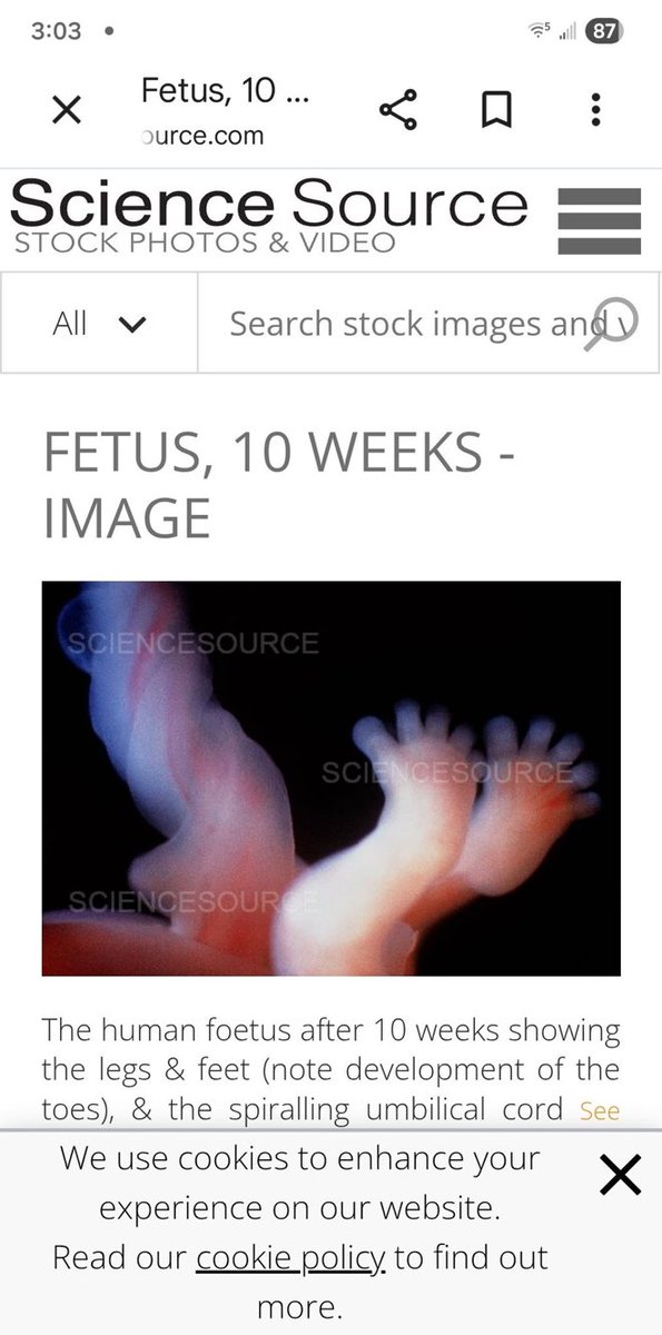 memepriest tweet media