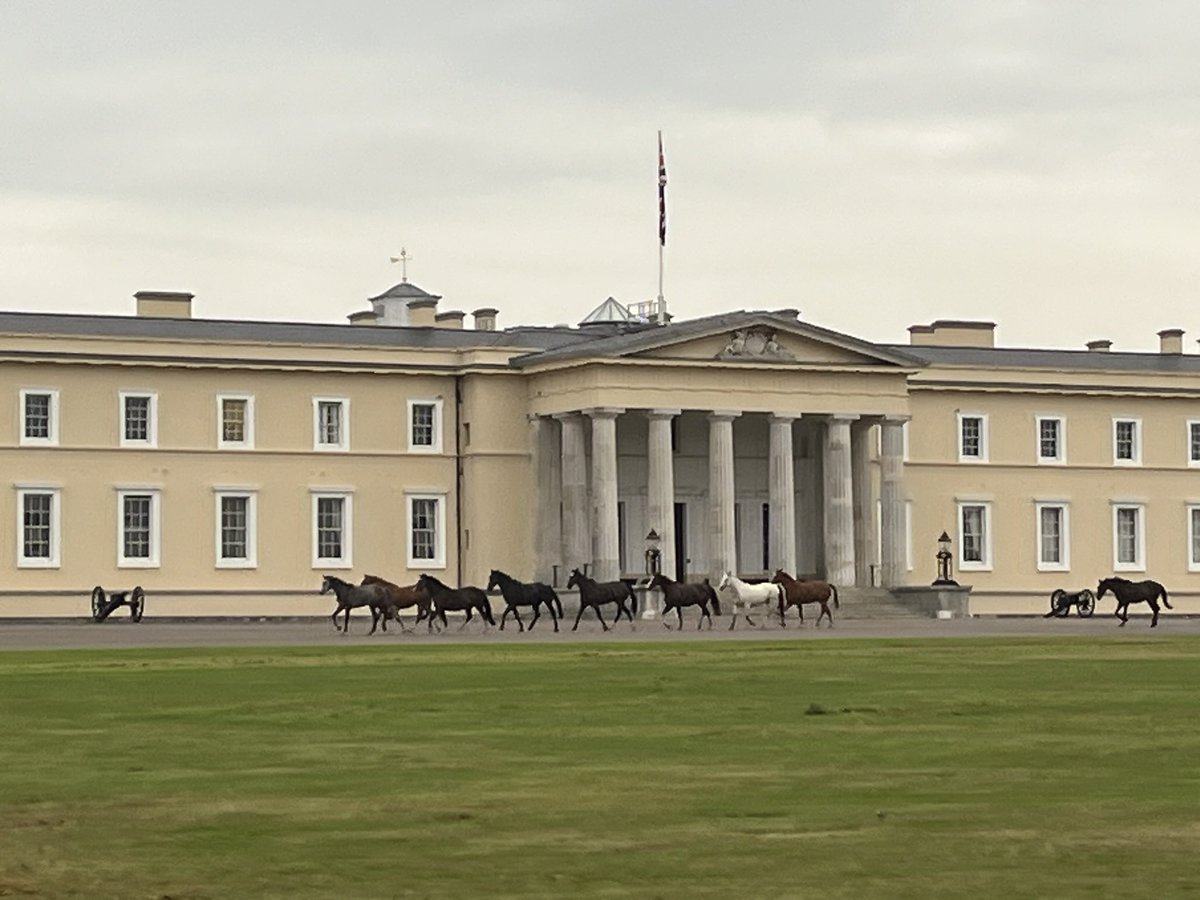 Sgt Maj Frenchie tweet media