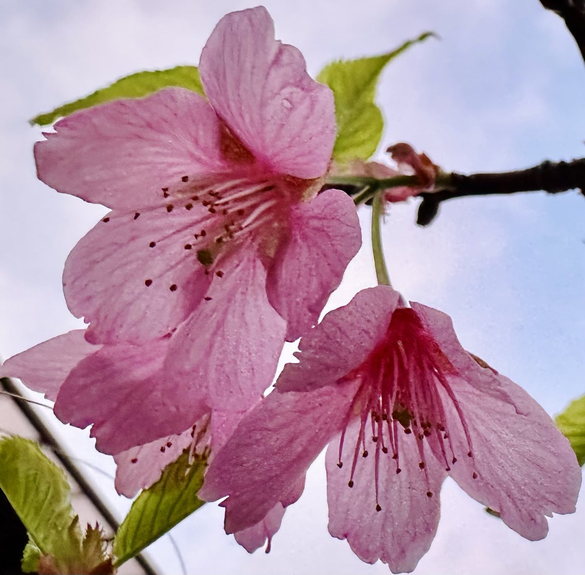 関根浩 tweet media