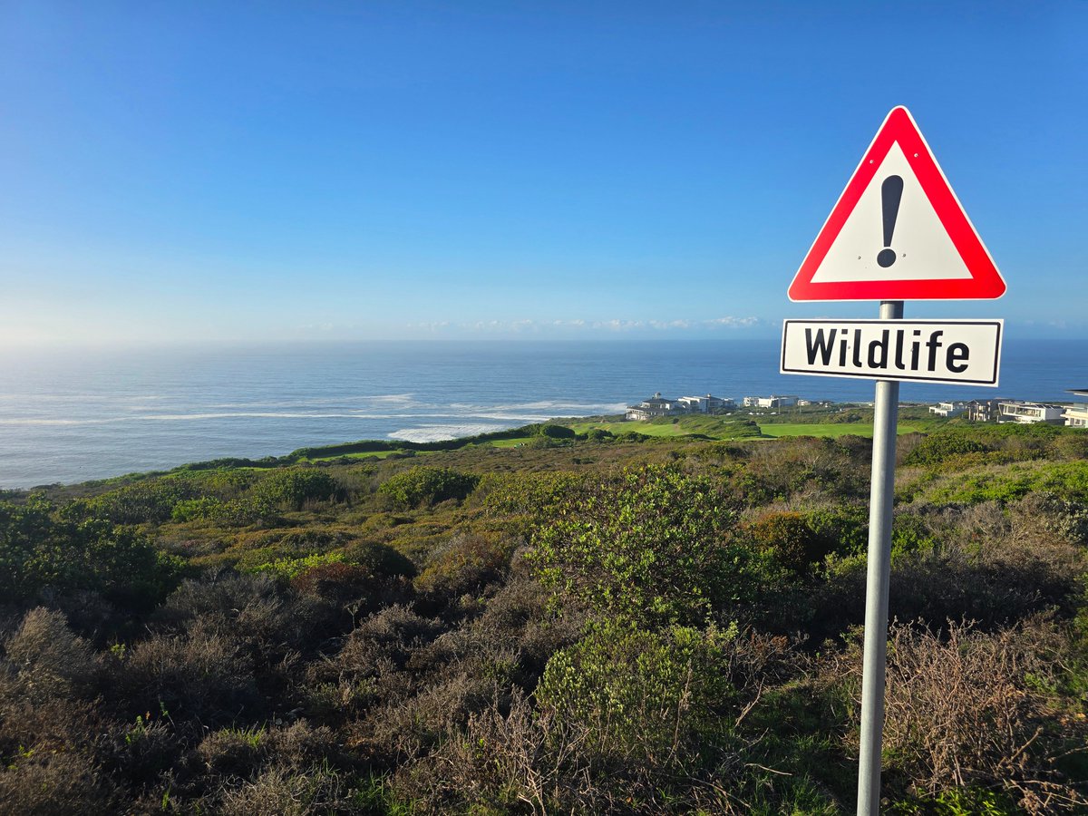 PinnaclePointEstate tweet media