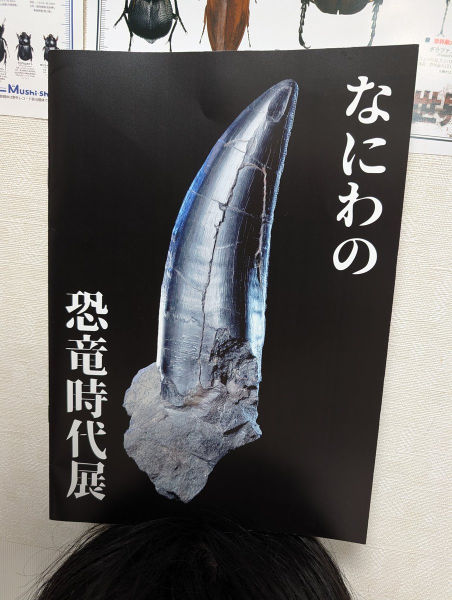 RIKU-蟲 tweet media