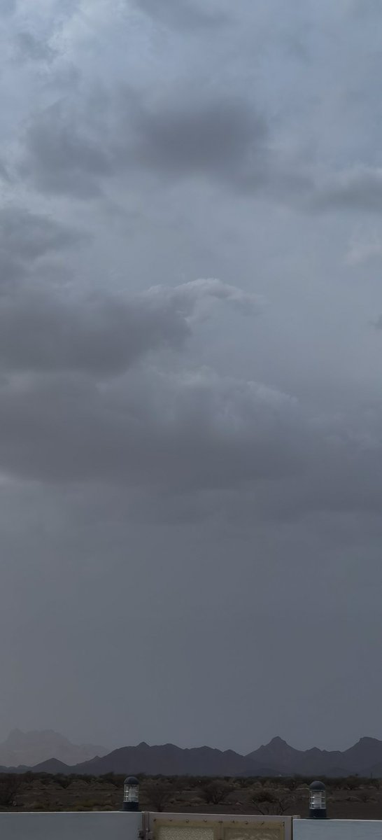 🄴🅈🄰🄰🄳 tweet media