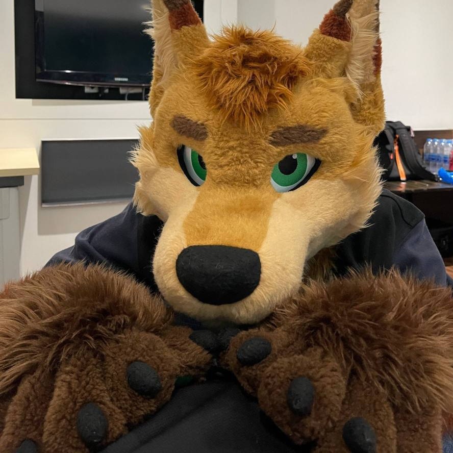 🐾Hlangarn🐾 ➡️ siampaws 2026 tweet media
