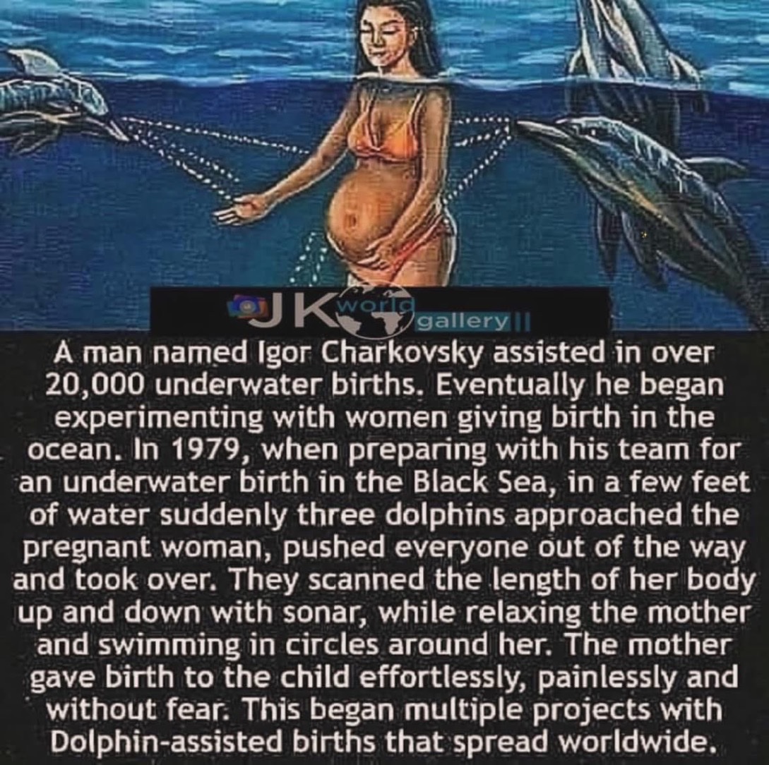 🧬Maxpein🧬 tweet media