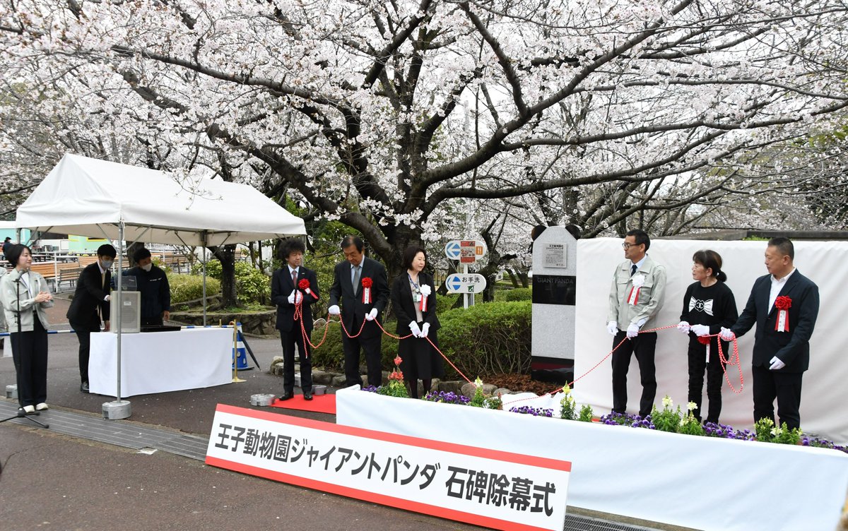 神戸市立王子動物園(公式) tweet media