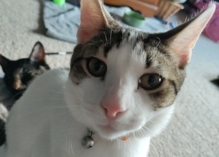 Exasperatus tweet media