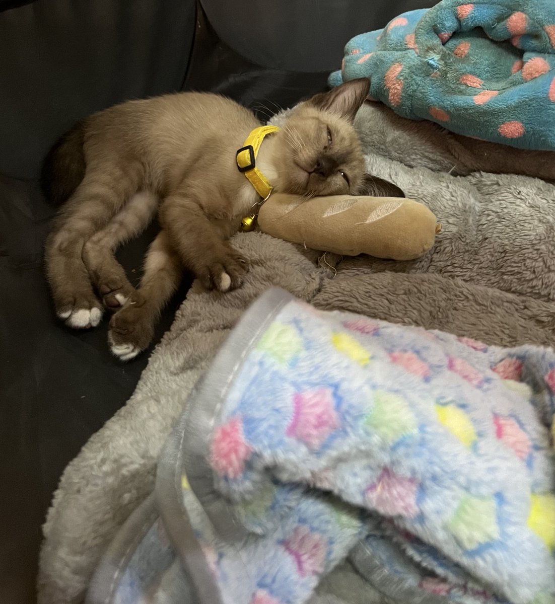 มุนเน่ tweet media