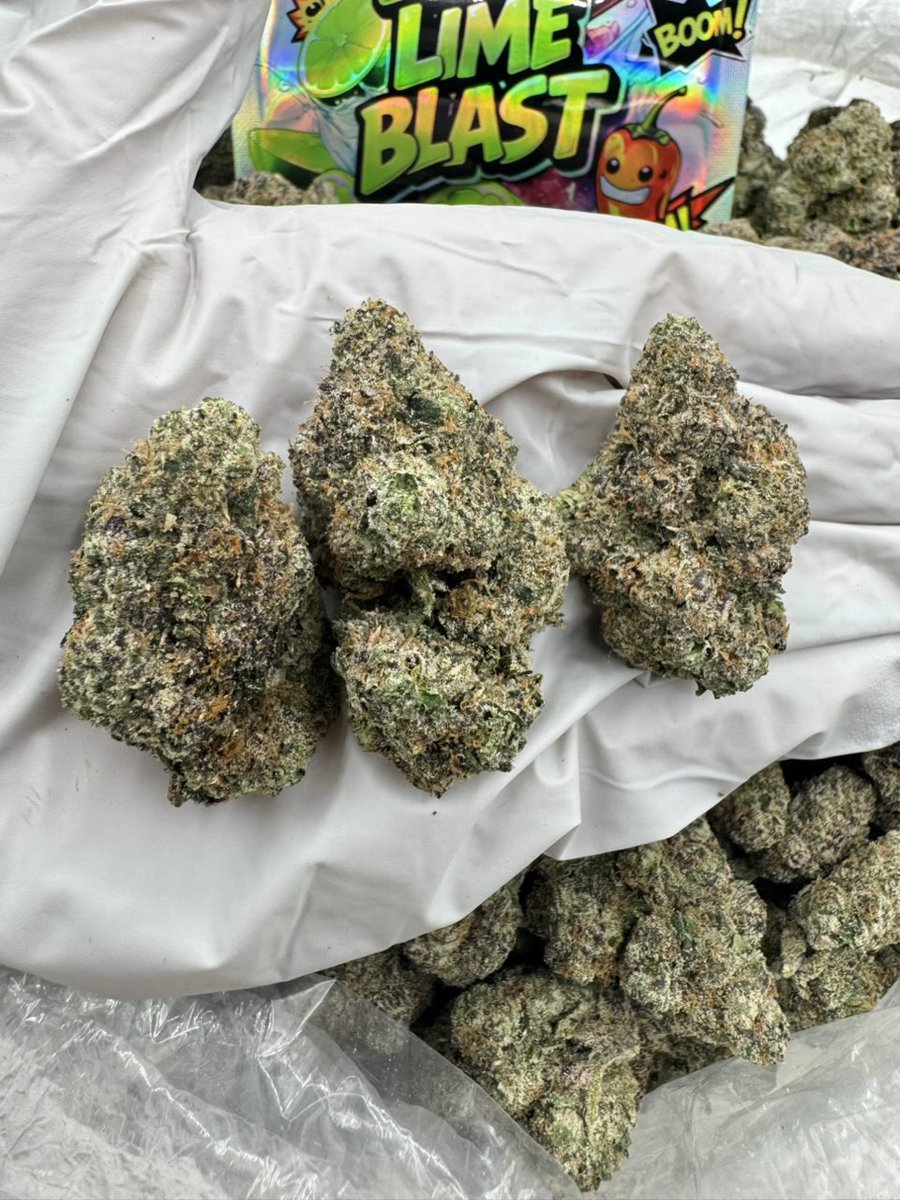 weed___paris_'s tweet photo. Weed Paris
Weed Versailles
Weed Saint-Denis
Weed Boulogne-Billancourt
Weed Nanterre
Weed Montreuil
Weed Paris 
Tele: https://t.co/Fj2Eav0n41 https://t.co/NFSVYGdsgX