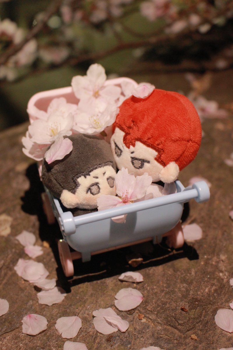 こるく tweet media