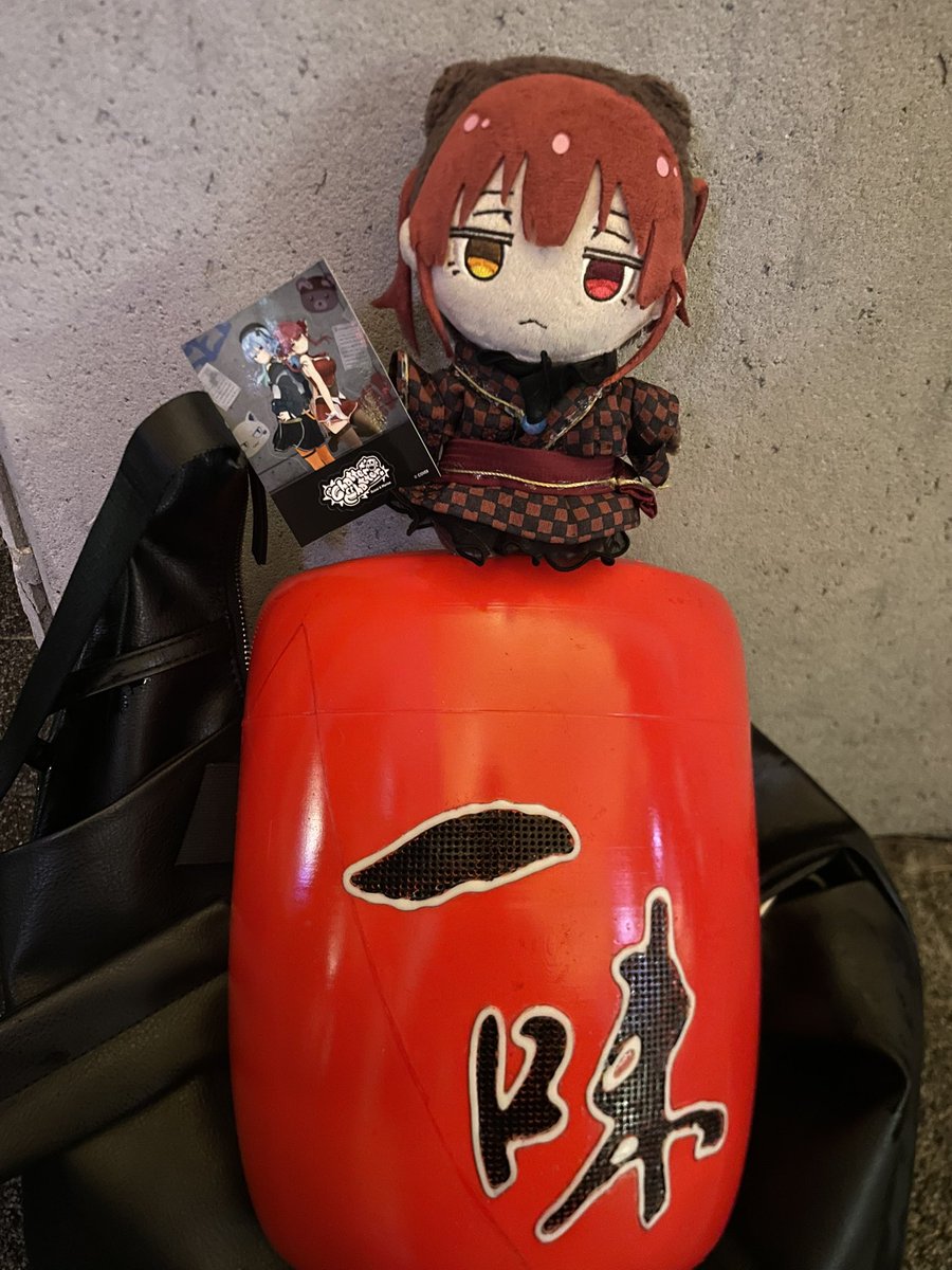 ころんぶす🏴‍☠️ tweet media