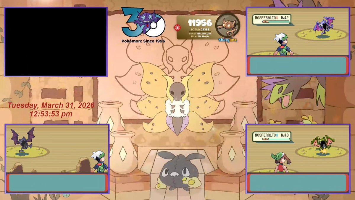 DocNoobzy tweet media