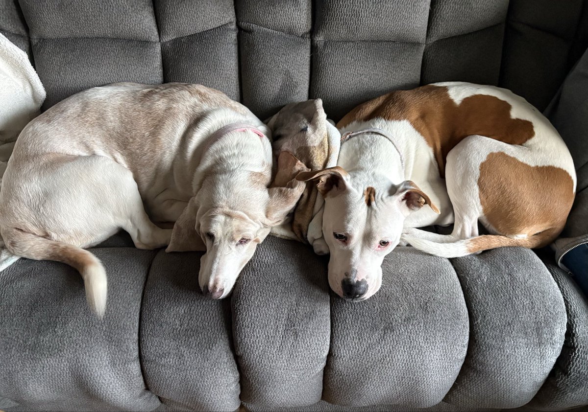 Michelle Chaffin tweet media