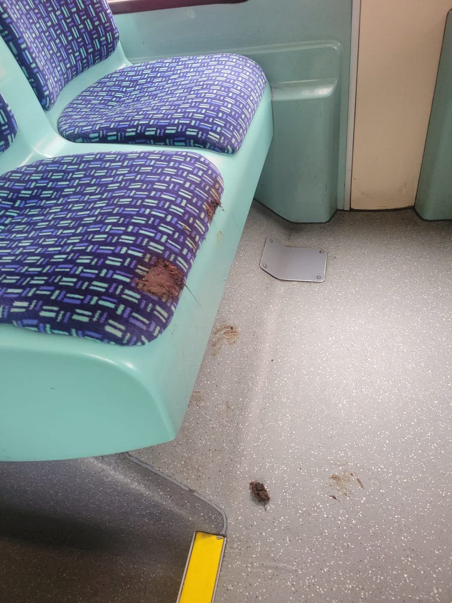 KingstonUniBus tweet media