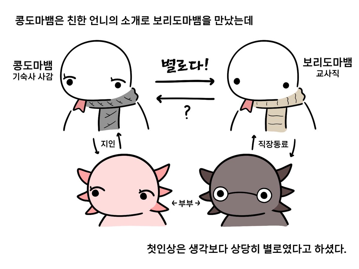 쌀도마뱀 tweet media