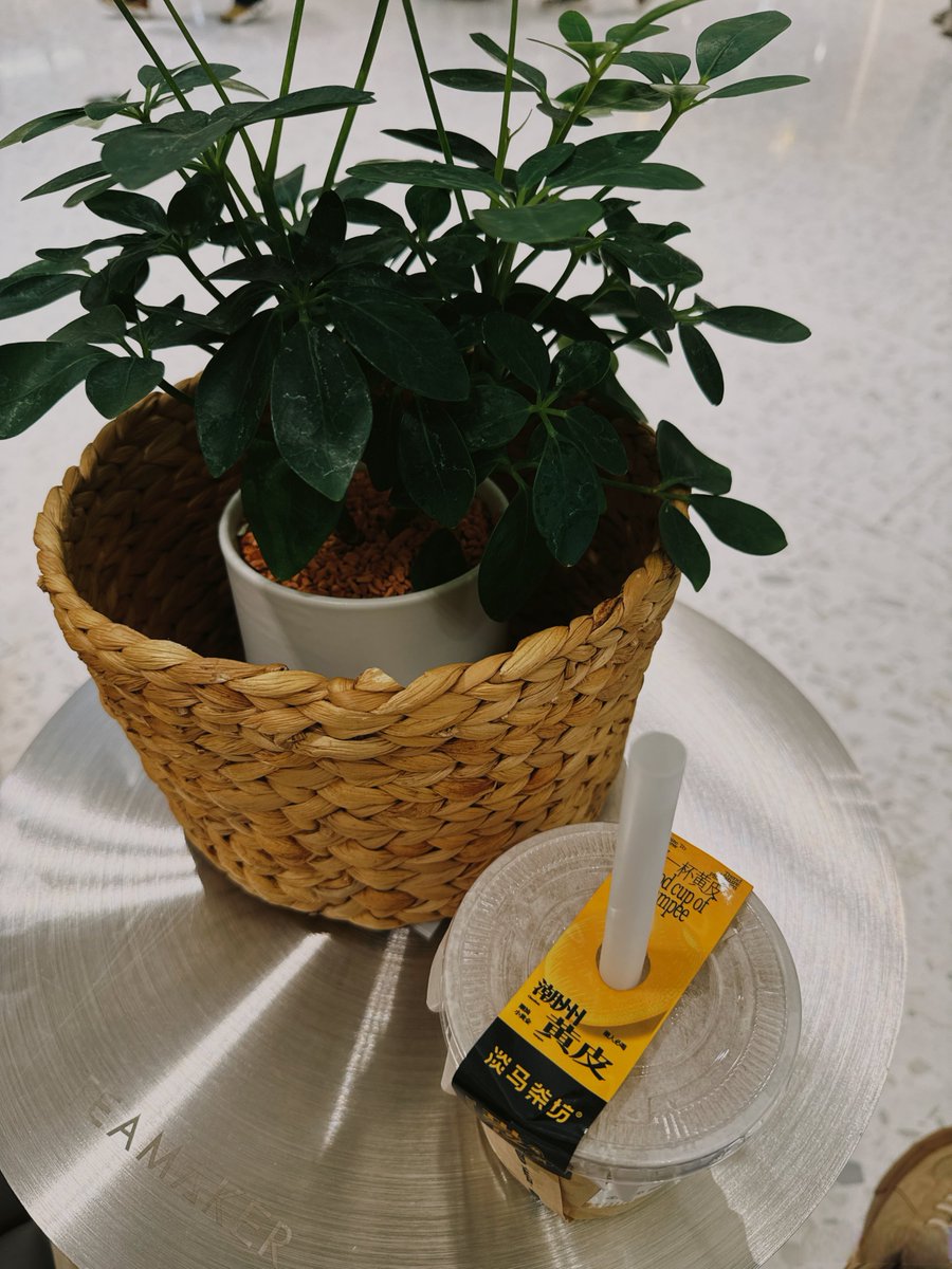 Panku70176645's tweet photo. Turn an old glass jar into a chic desk organizer! Clean it, wrap with twine, add a small plant + label. Eco-friendly, cute, and functional  #UpcycleHacks #DIYDecor https://t.co/A0LrnxF9jm