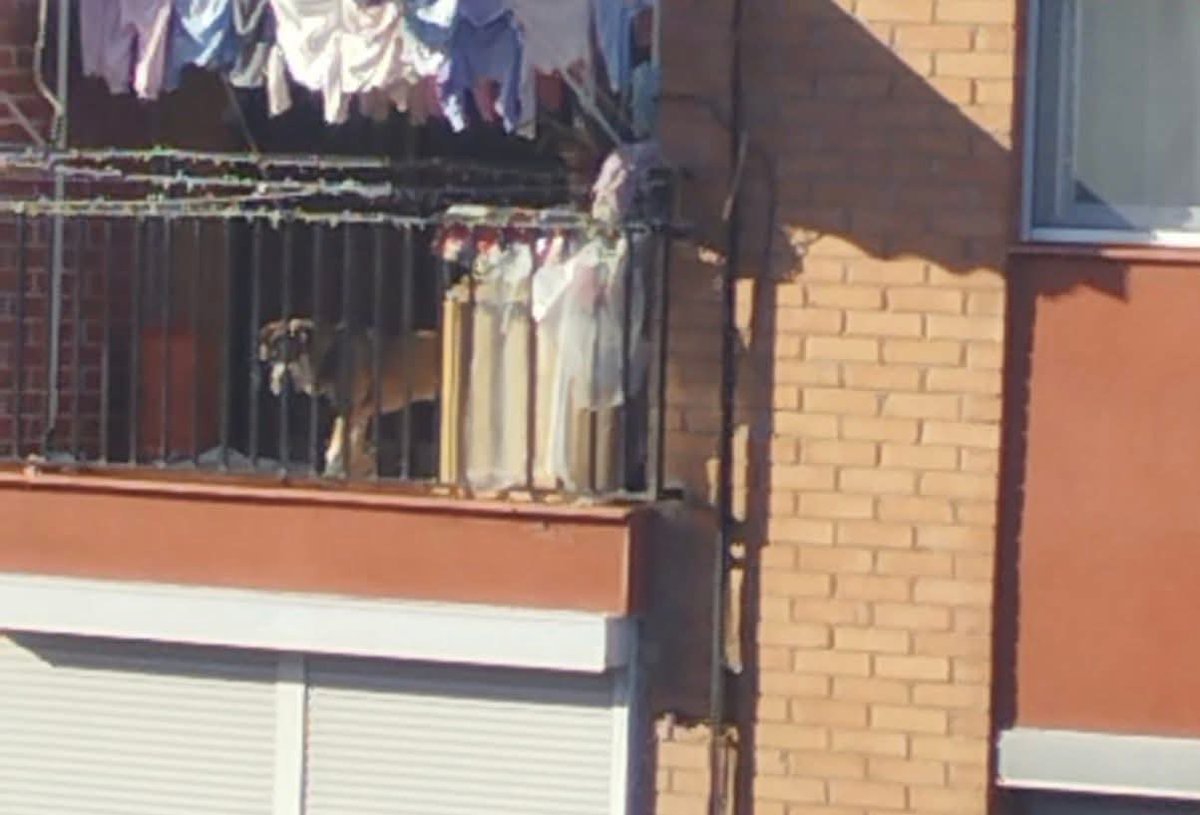 LᎾℬᎯ tweet media