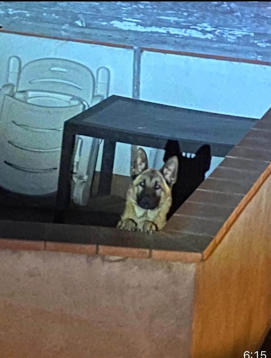 LᎾℬᎯ tweet media