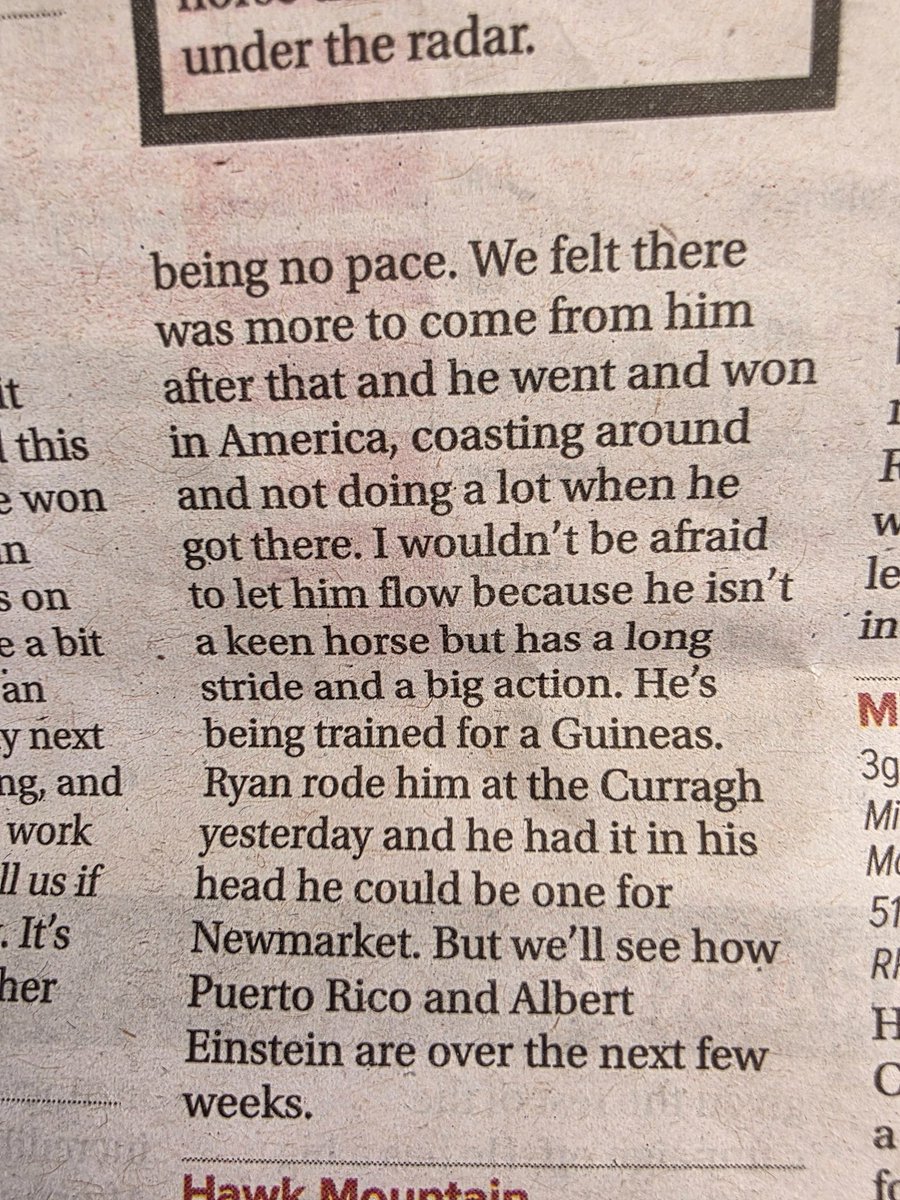 gordon sundog tweet media