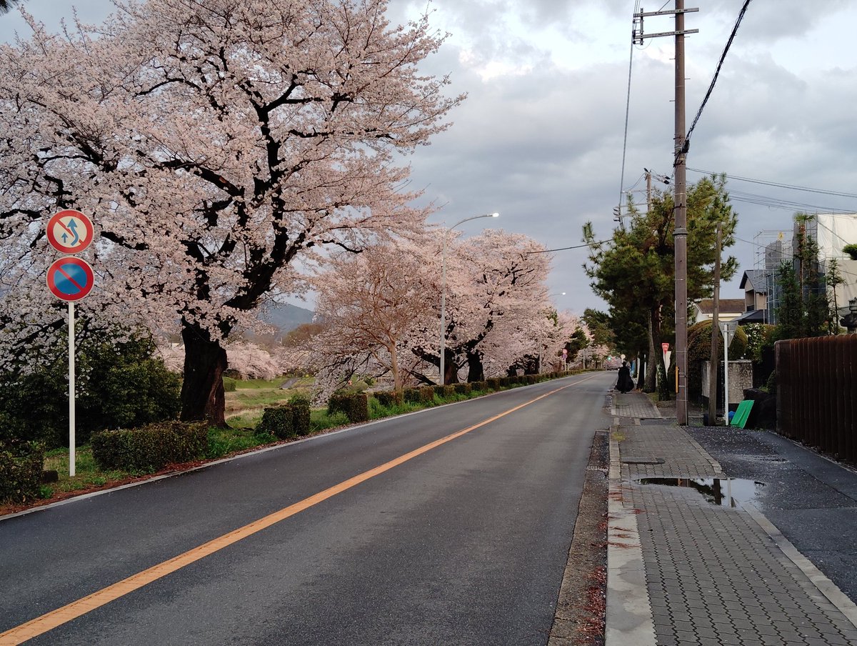 七月なつき tweet media