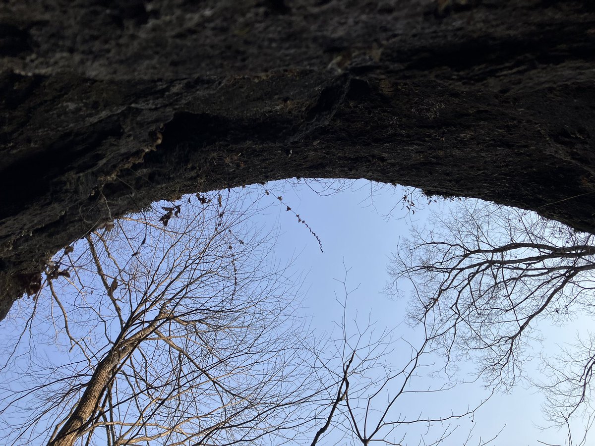 Dr.ツクール@道王紀 tweet media