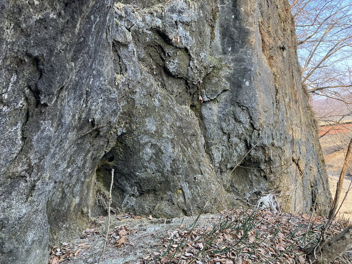 Dr.ツクール@道王紀 tweet media