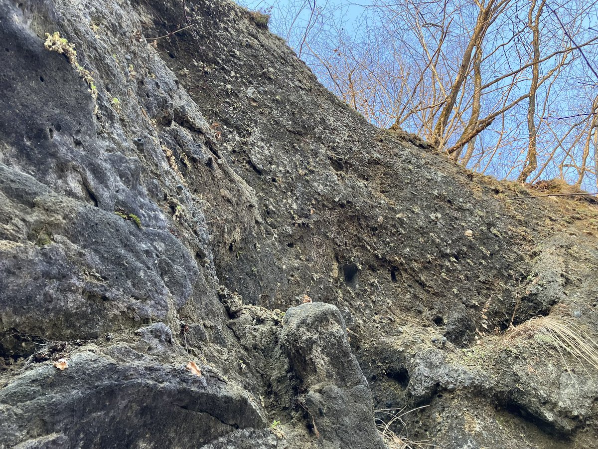 Dr.ツクール@道王紀 tweet media