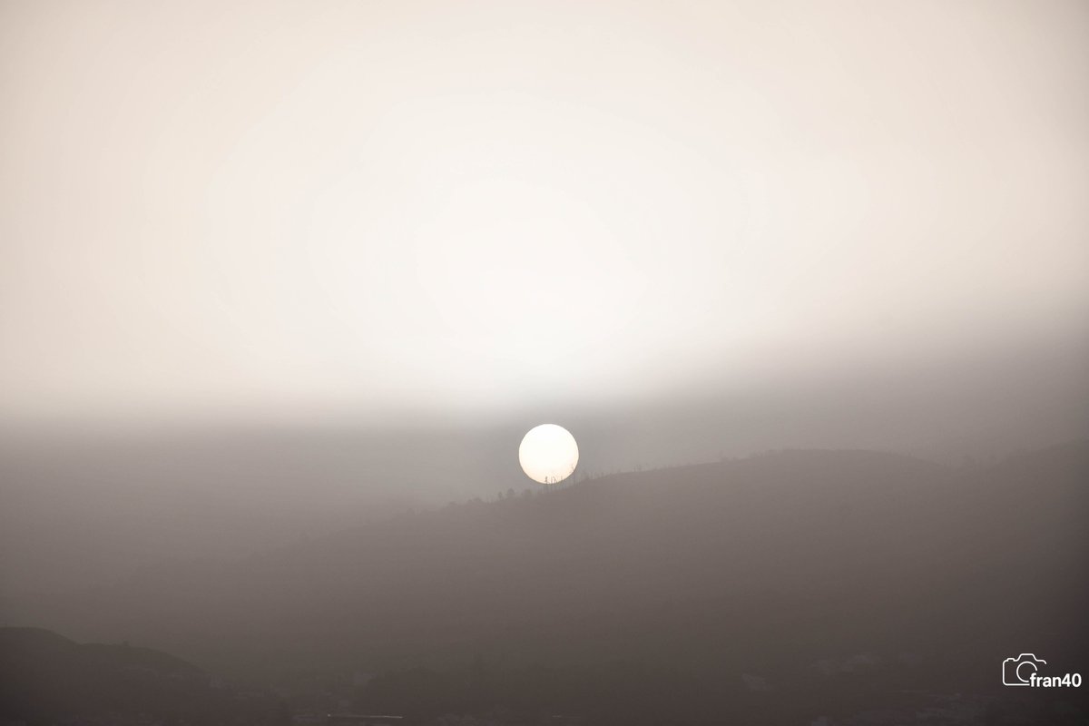 ☀⛅️️fran40 ☔️ tweet media