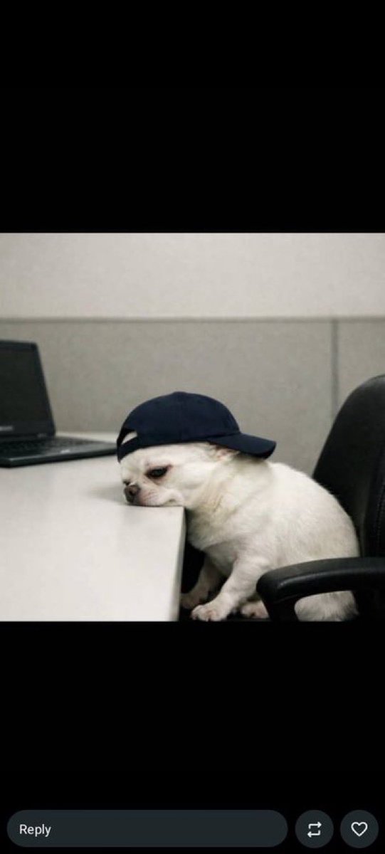 Exitliquidity tweet media