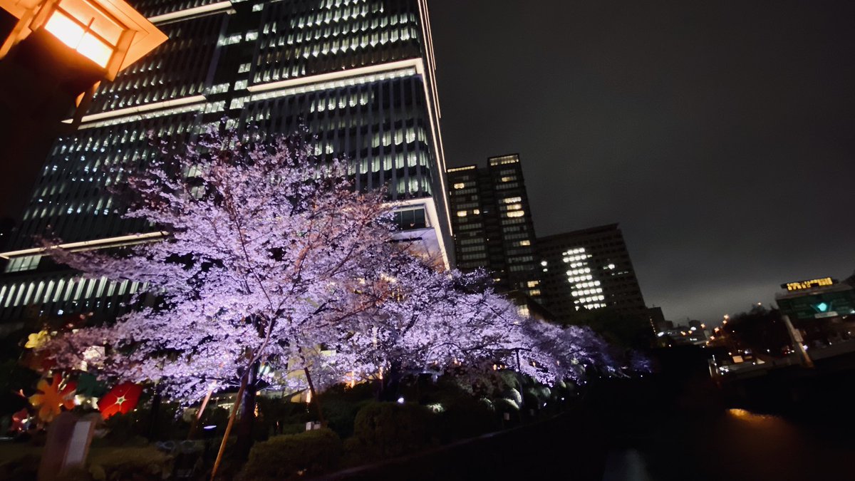 みそか tweet media