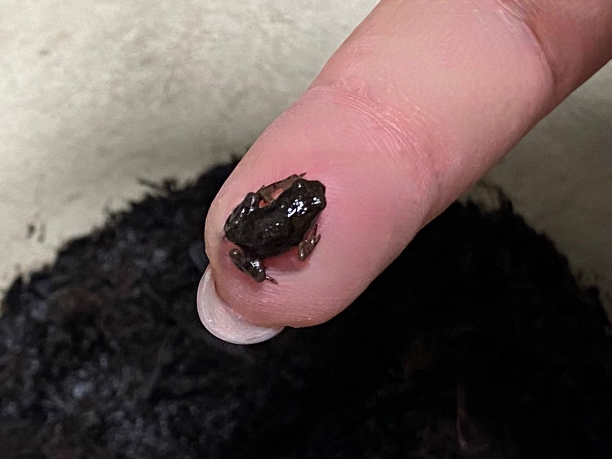 aisuke787☆ tweet media