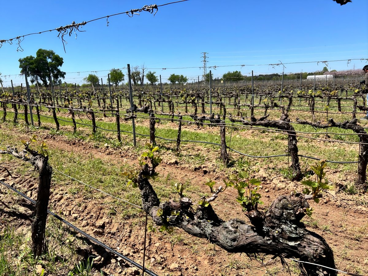 Medio Ambiente | Comunidad de Madrid tweet media