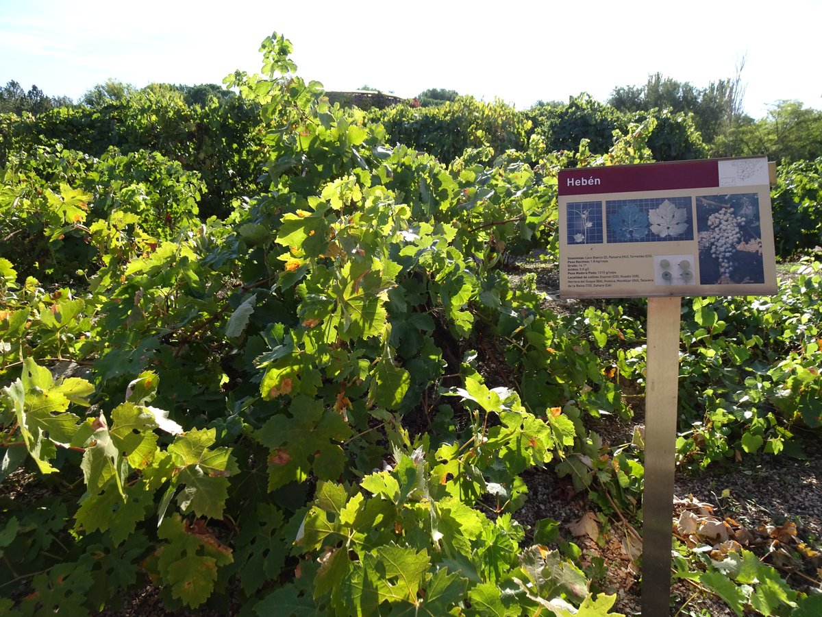 Medio Ambiente | Comunidad de Madrid tweet media