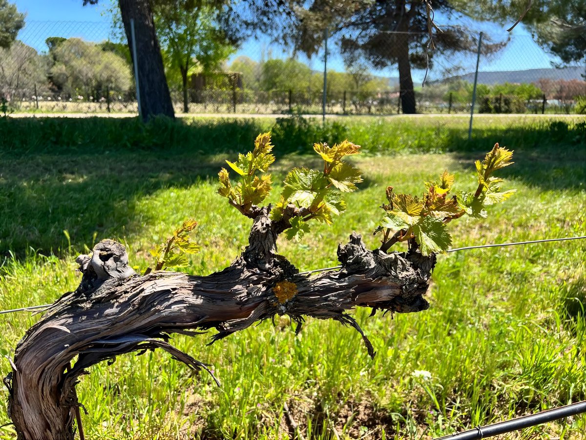 Medio Ambiente | Comunidad de Madrid tweet media