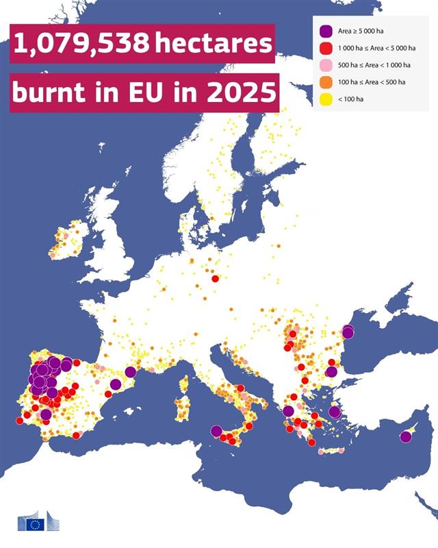 Copernicus EMS tweet media