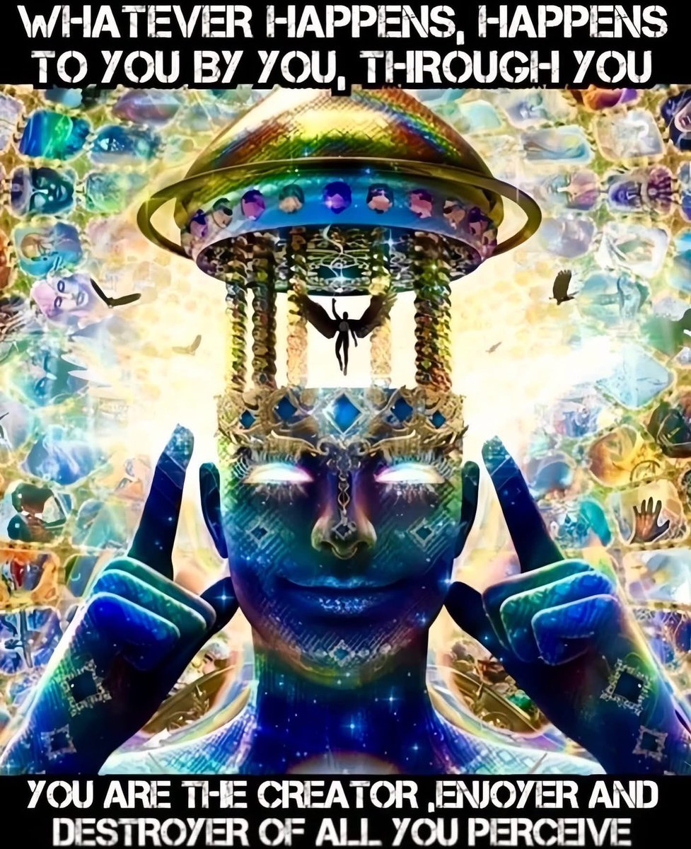 🧬Maxpein🧬 tweet media