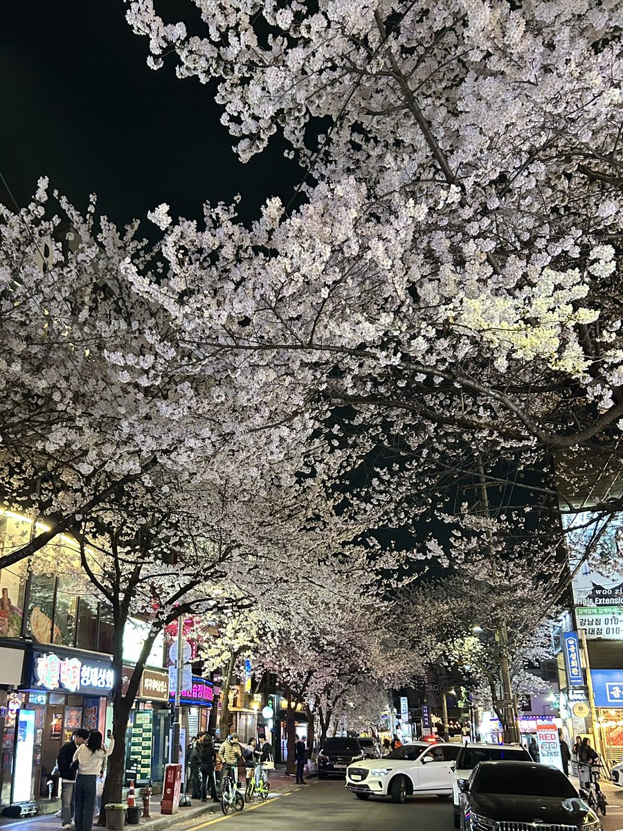 놀고먹고싶은개미 tweet media