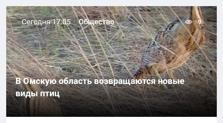 Александр Игнатенко tweet media