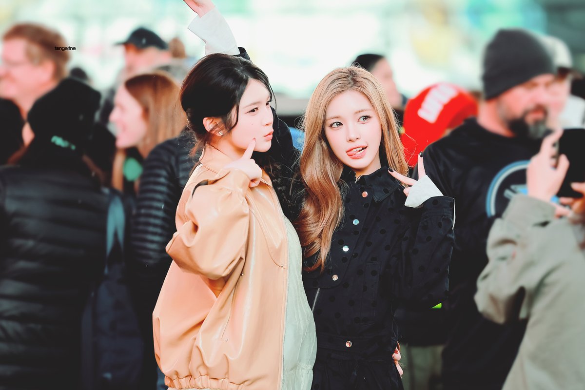 tangerine tweet media