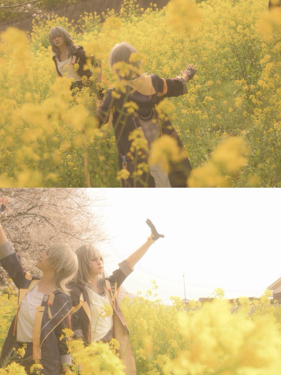 Sakura さくら tweet media