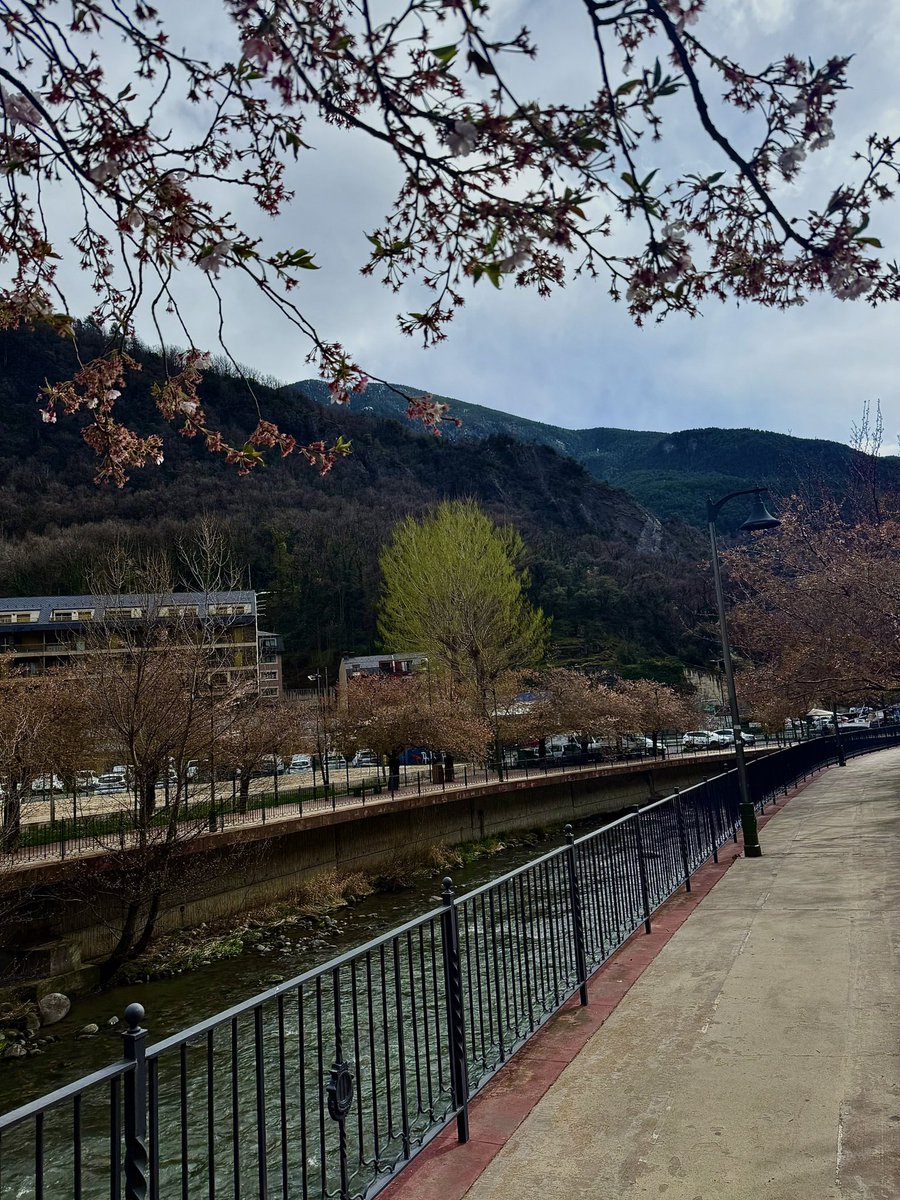 Víctor Guardia tweet media