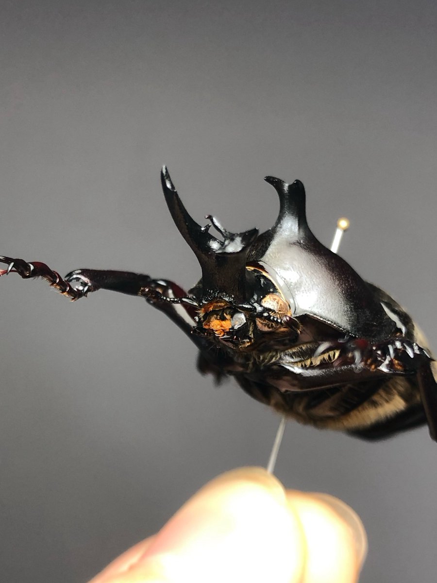 Keiki FUKUI 福井敬貴 tweet media