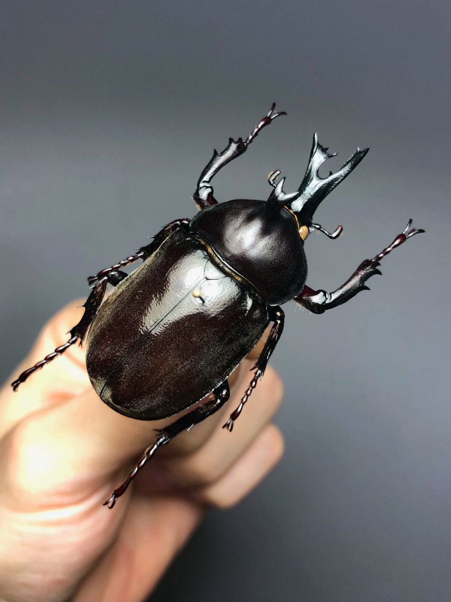 Keiki FUKUI 福井敬貴 tweet media